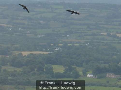 Slieve Daeane, Birds Mounatin